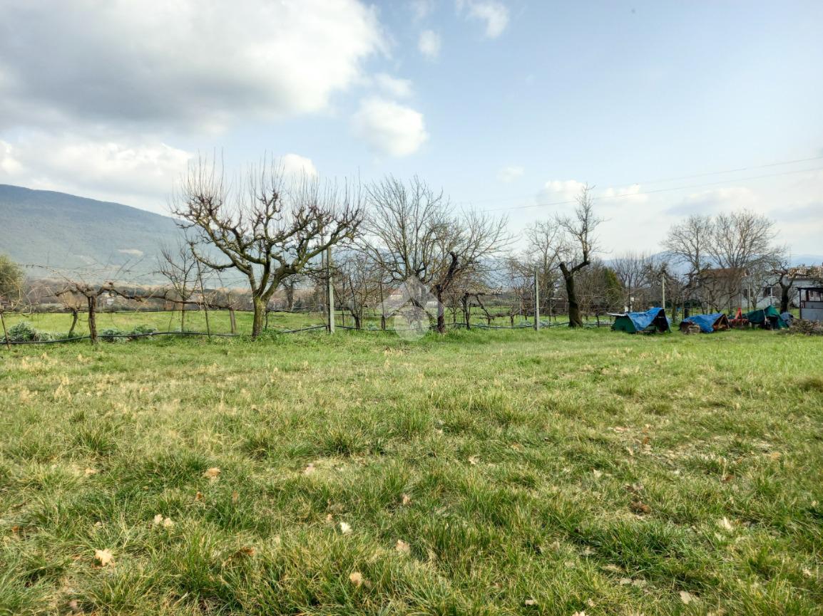 TERRENO EDIFICABILE VENDITA MASSA MARTANA