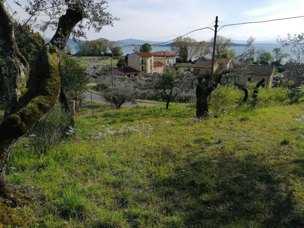 TERRENO EDIFICABILE VENDITA MAGIONE