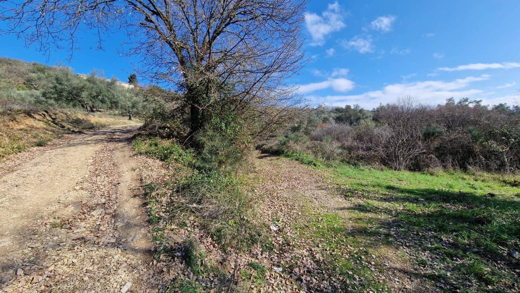 TERRENO AGRICOLO VENDITA PERUGIA OLMO