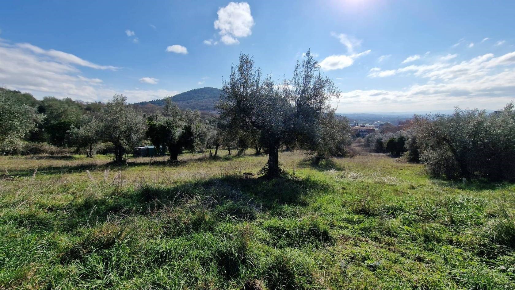 TERRENO AGRICOLO VENDITA PERUGIA OLMO