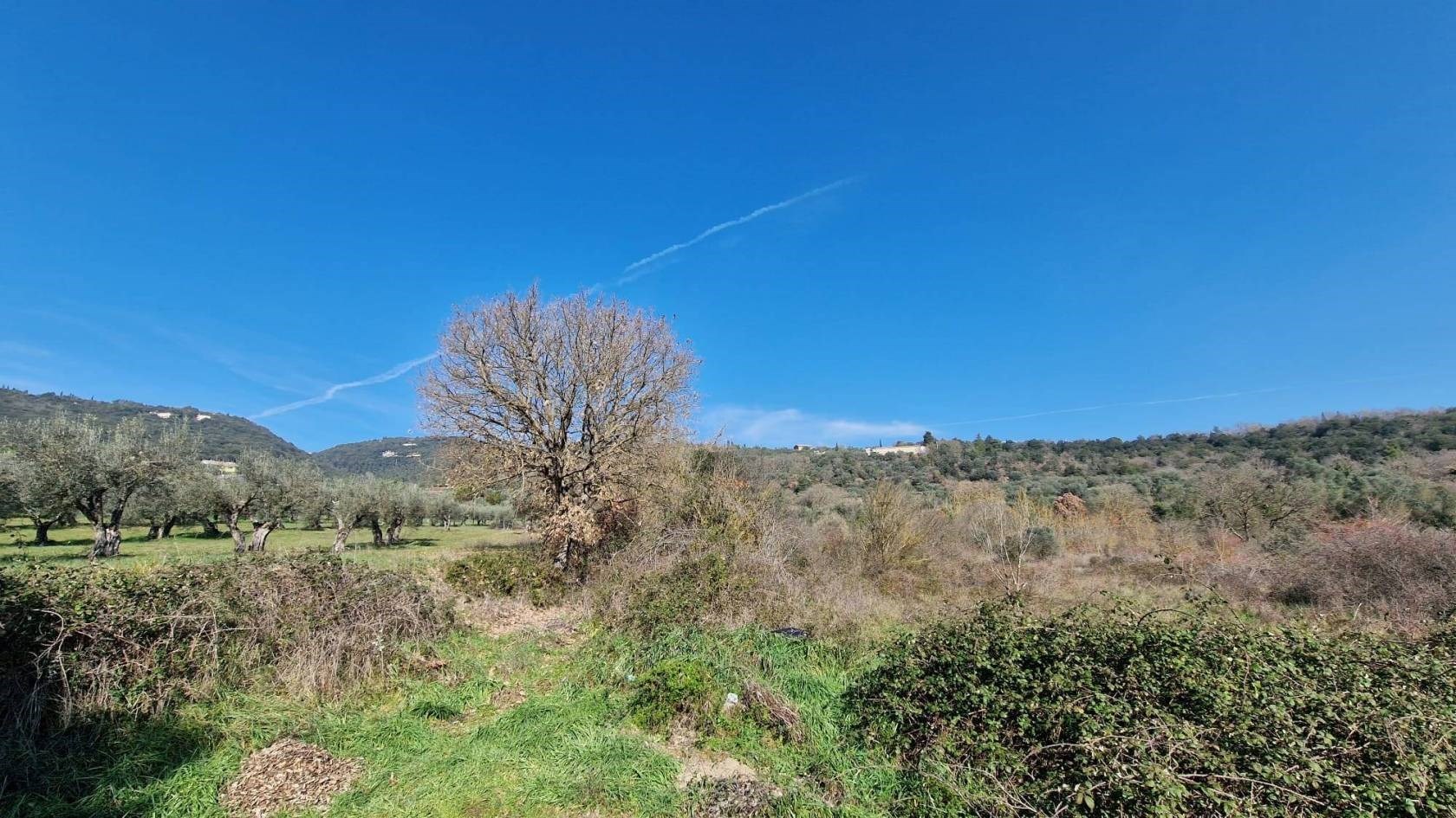 TERRENO AGRICOLO VENDITA PERUGIA OLMO