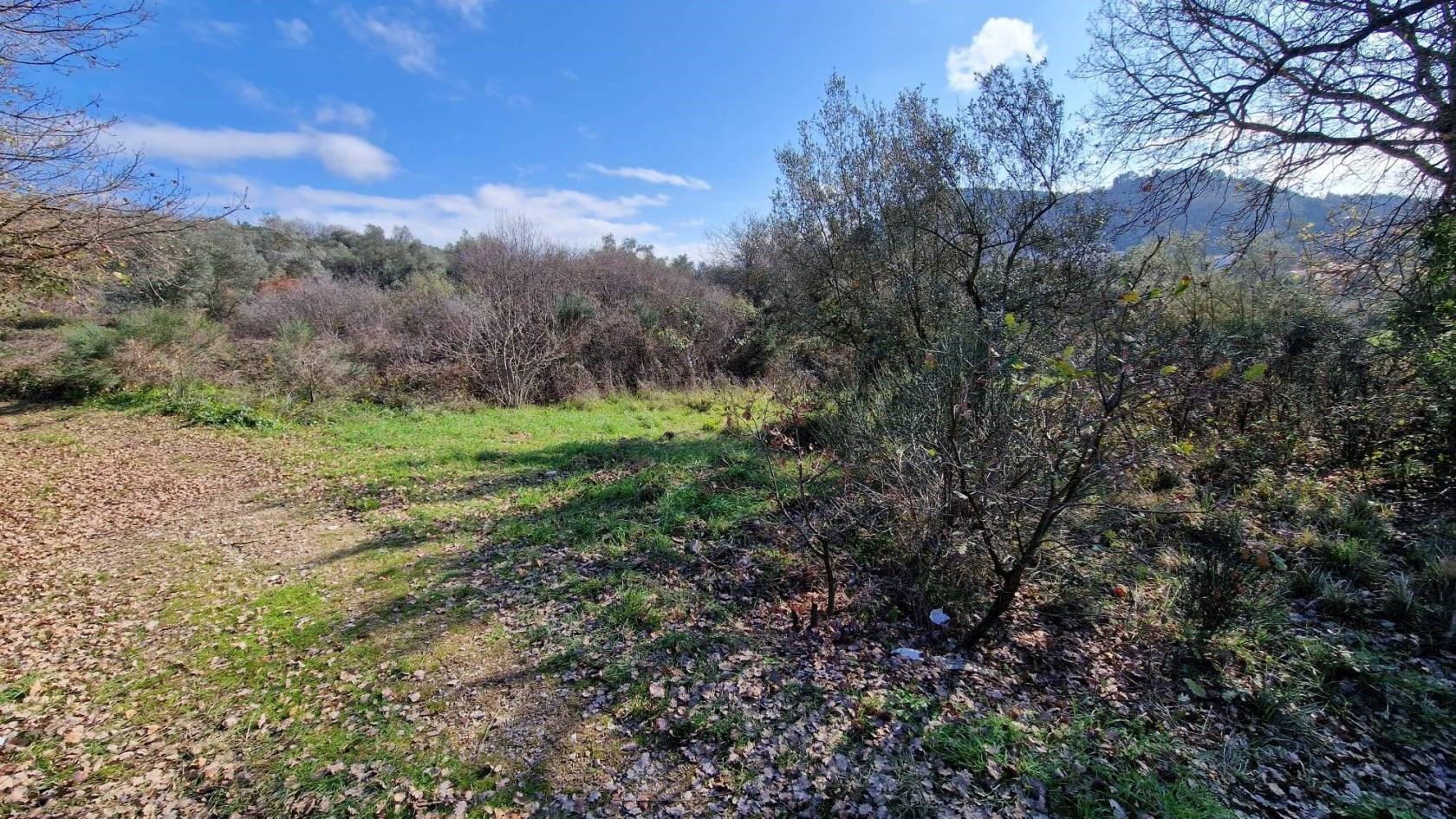 TERRENO AGRICOLO VENDITA PERUGIA OLMO