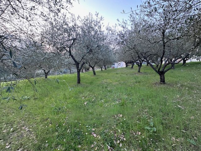 TERRENO EDIFICABILE VENDITA PERUGIA OLMO