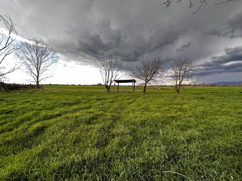 TERRENO AGRICOLO VENDITA CASTIGLIONE DEL LAGO