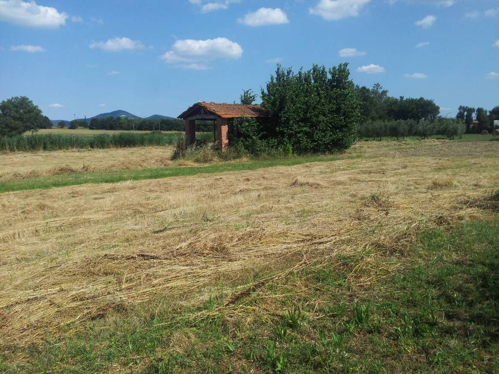 TERRENO EDIFICABILE VENDITA CASTIGLIONE DEL LAGO