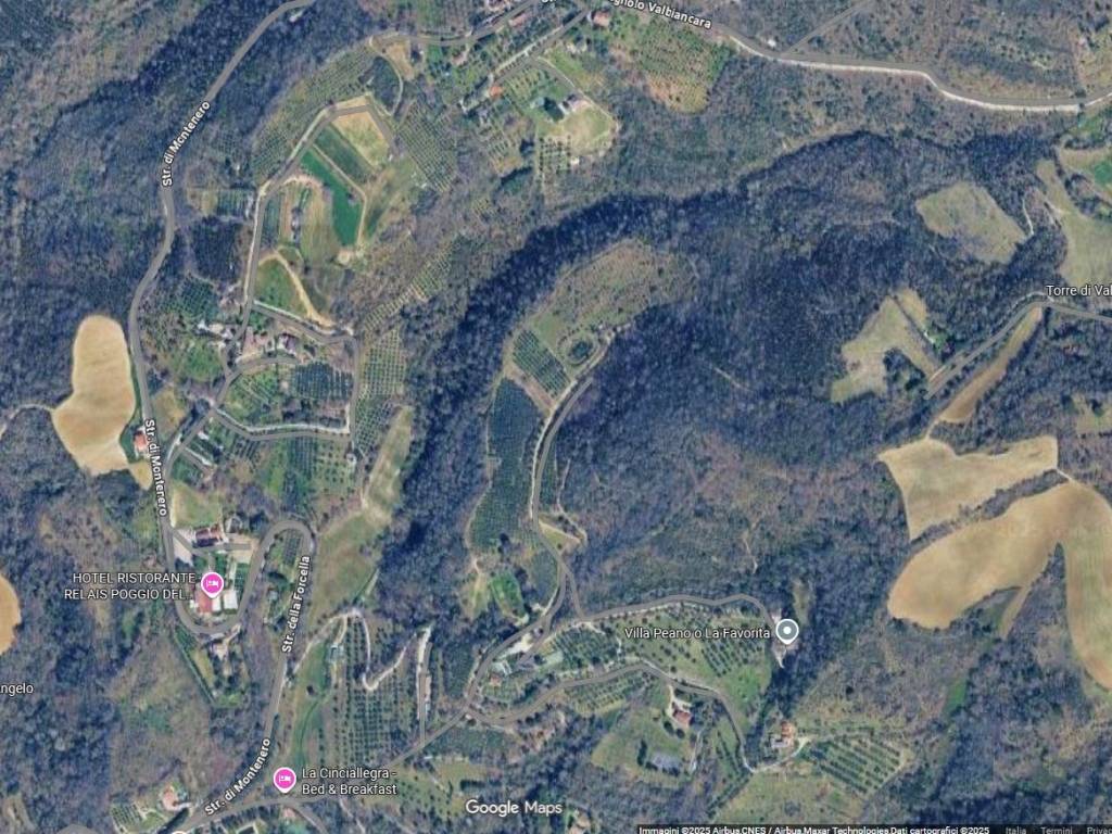 TERRENO AGRICOLO VENDITA PERUGIA CENERENTE