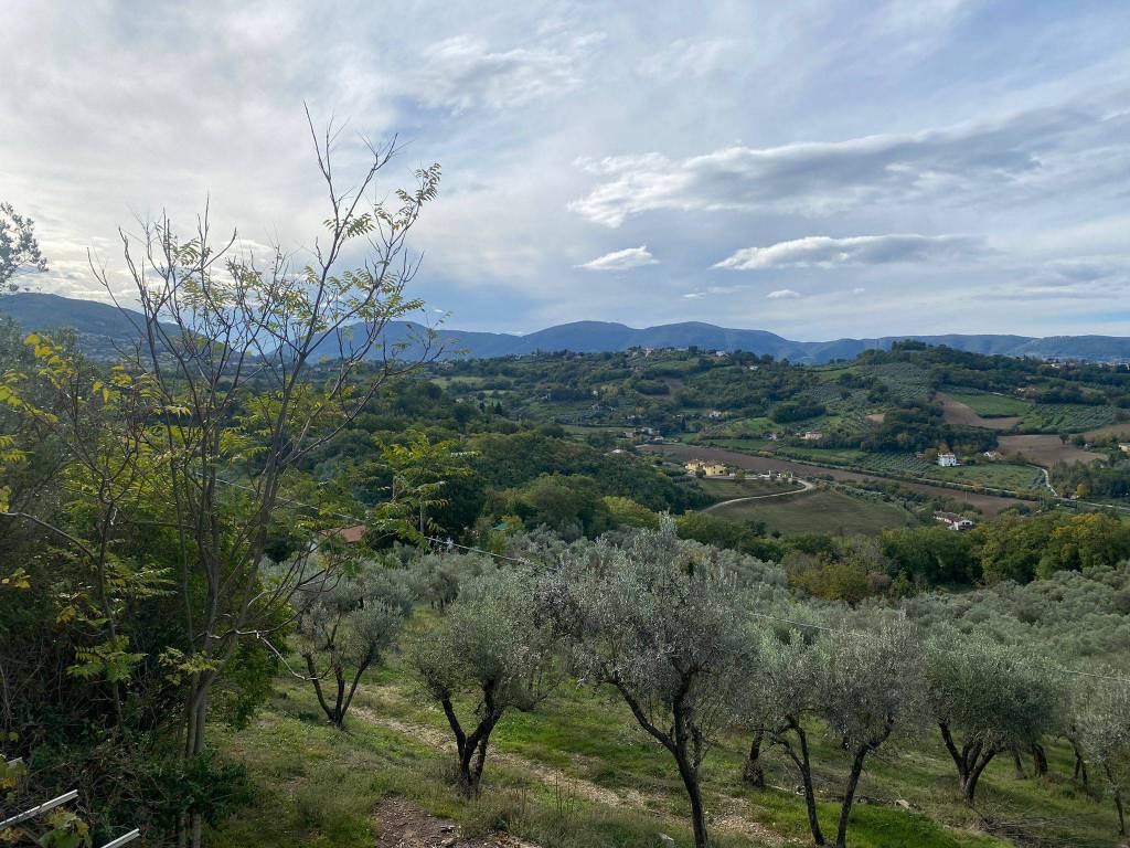 TERRENO EDIFICABILE VENDITA TERNI SAN ROCCO