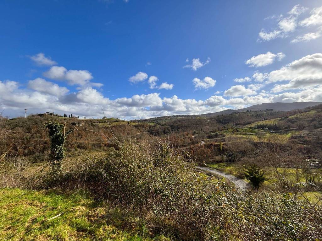 RUSTICO - CASALE VENDITA PIEGARO