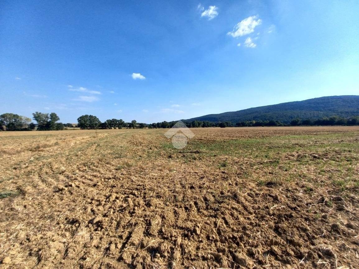 TERRENO AGRICOLO VENDITA MONTECASTRILLI