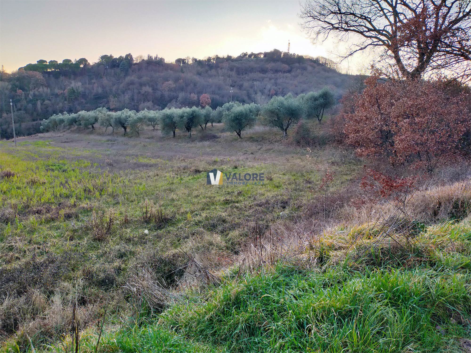 TERRENO AGRICOLO VENDITA PERUGIA PONTE FELCINO