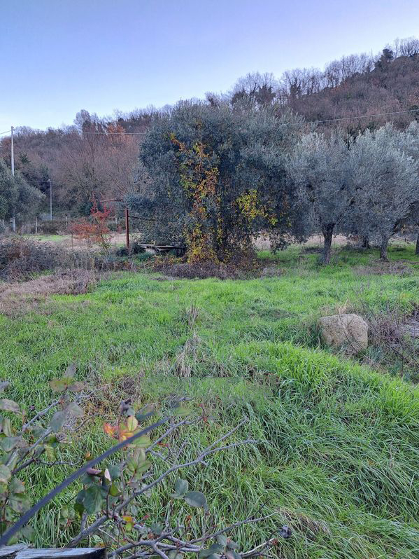 TERRENO EDIFICABILE VENDITA PERUGIA PONTE FELCINO