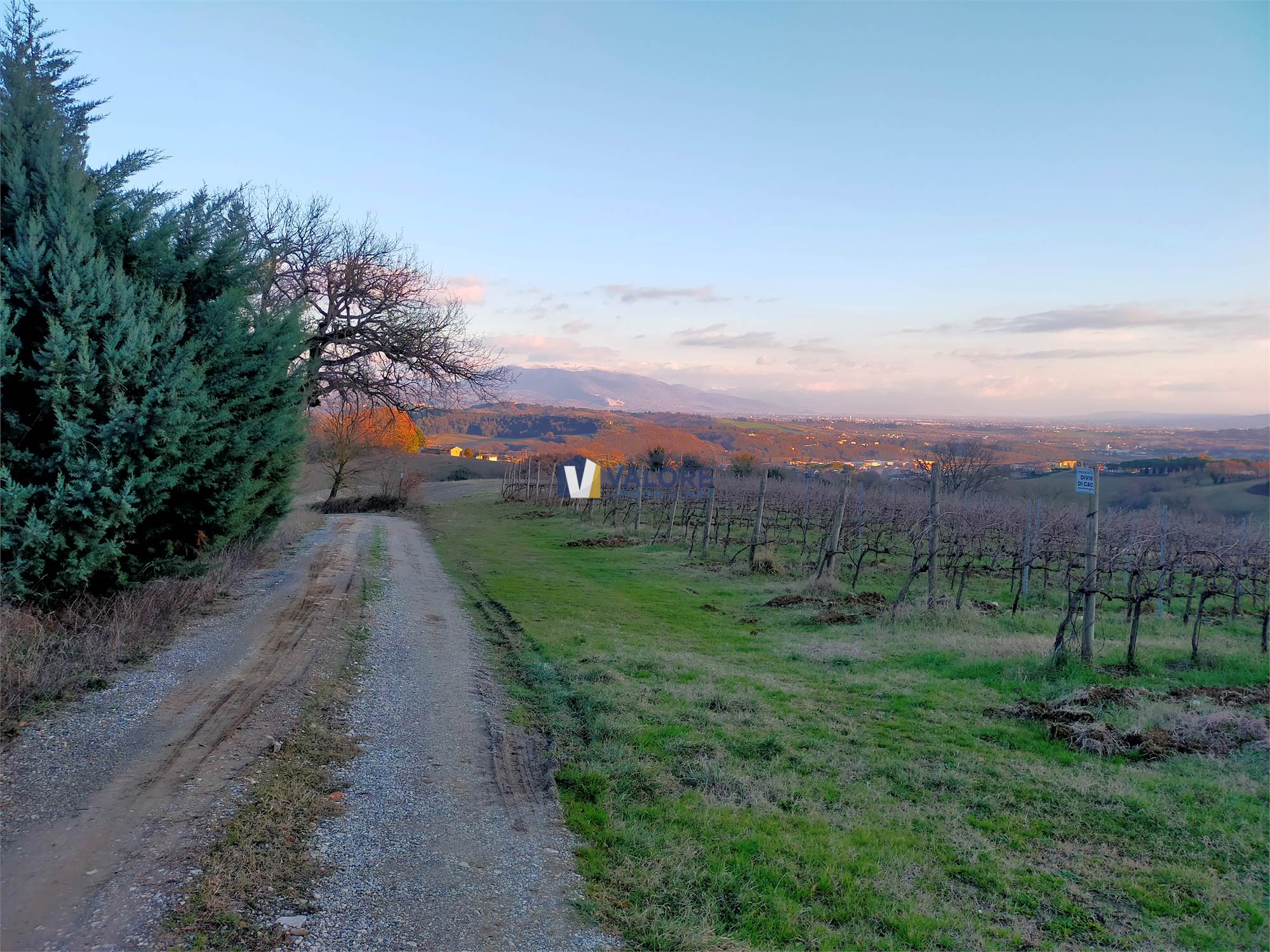 TERRENO AGRICOLO VENDITA PERUGIA PONTE FELCINO