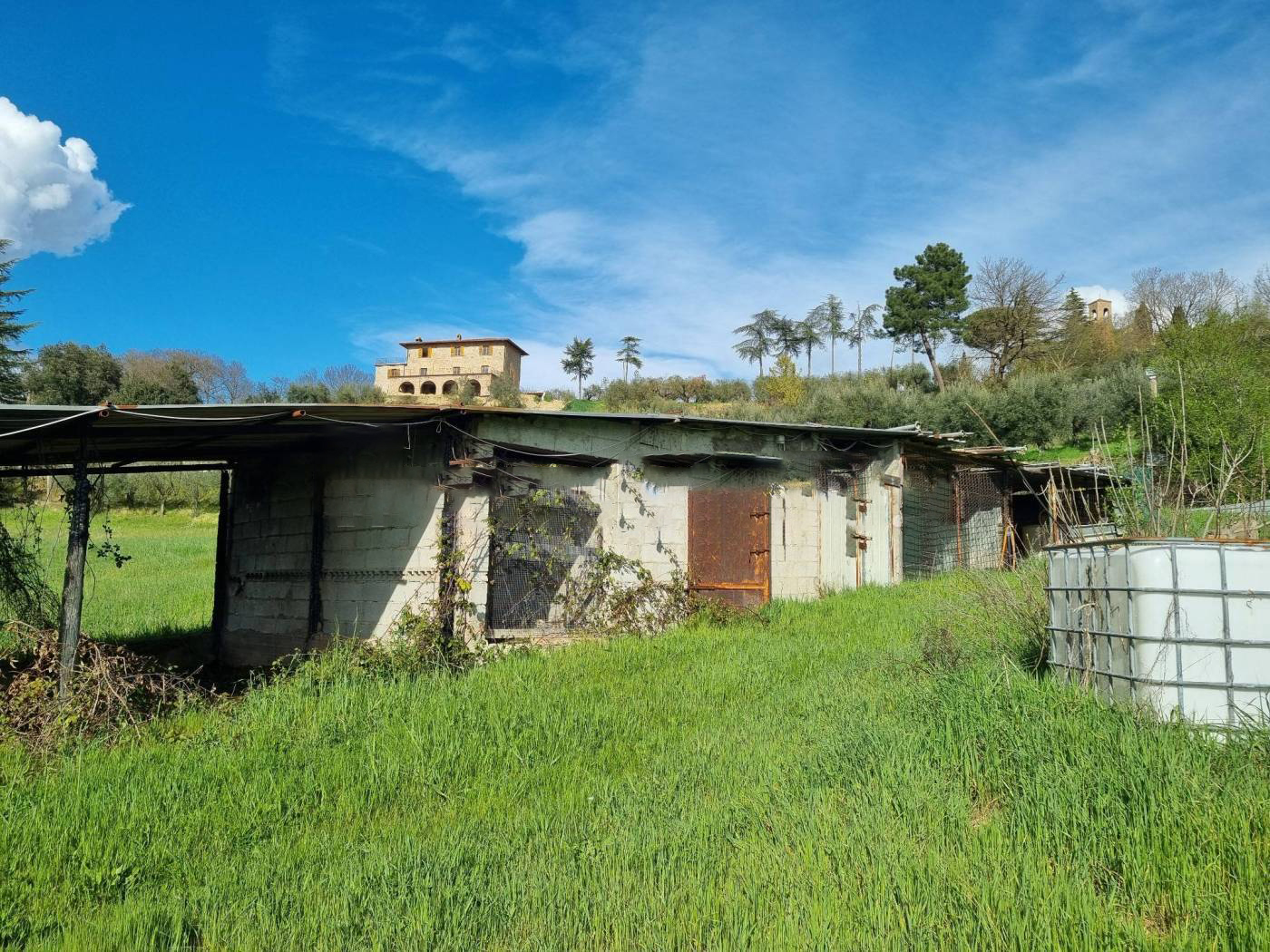 TERRENO AGRICOLO VENDITA PERUGIA RAMAZZANO