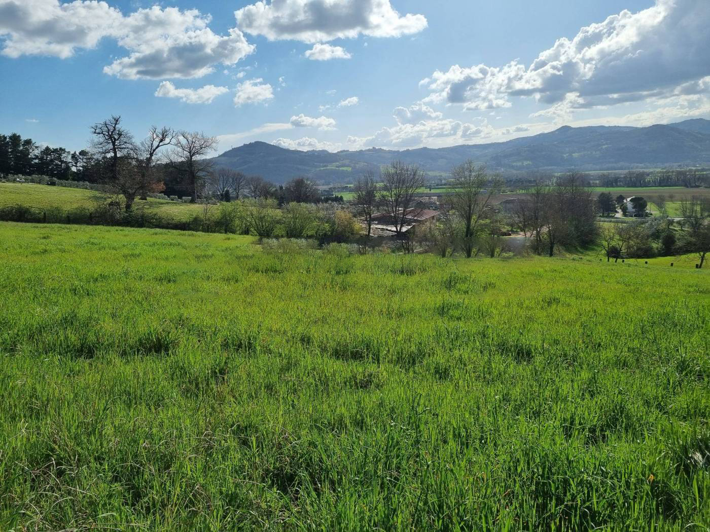 TERRENO AGRICOLO VENDITA PERUGIA RAMAZZANO