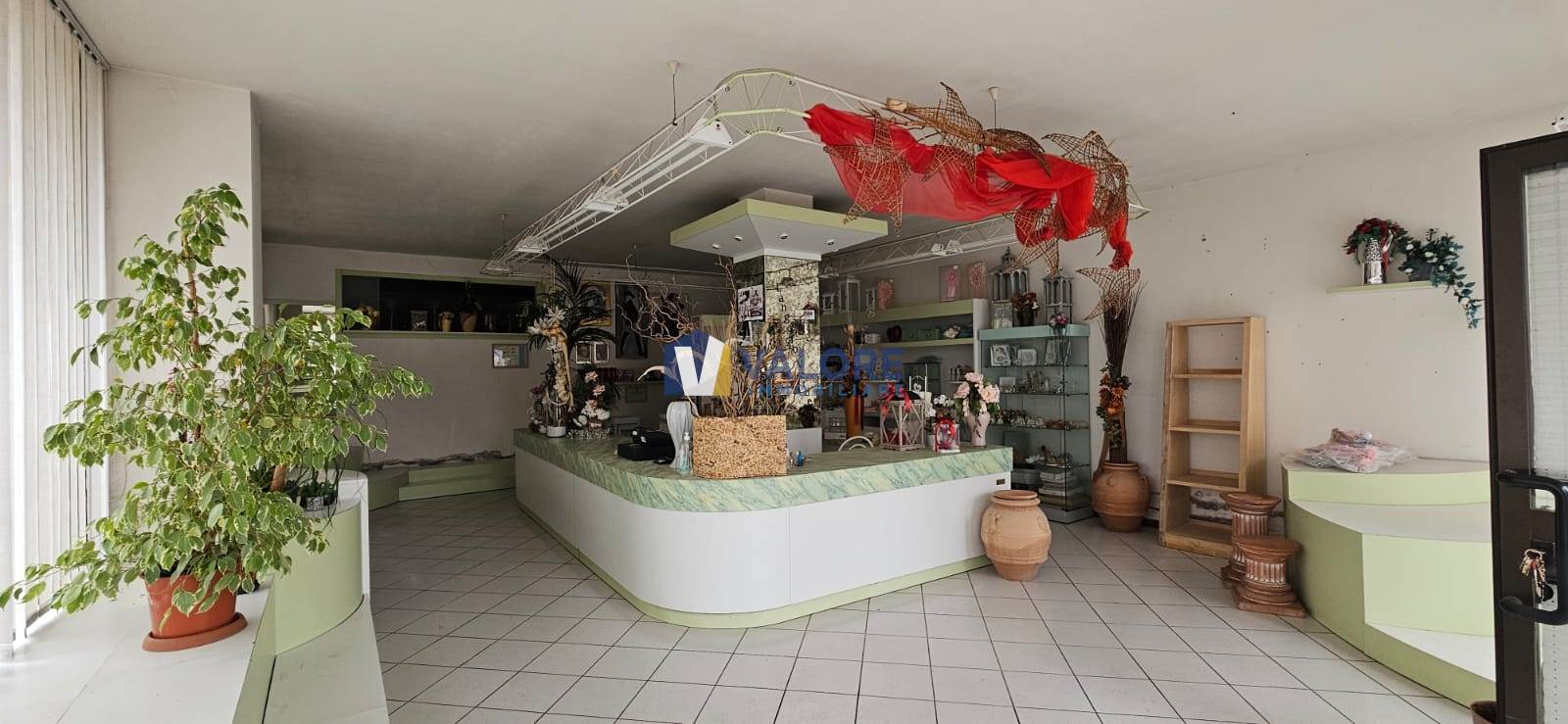 NEGOZIO VENDITA DERUTA RIPABIANCA