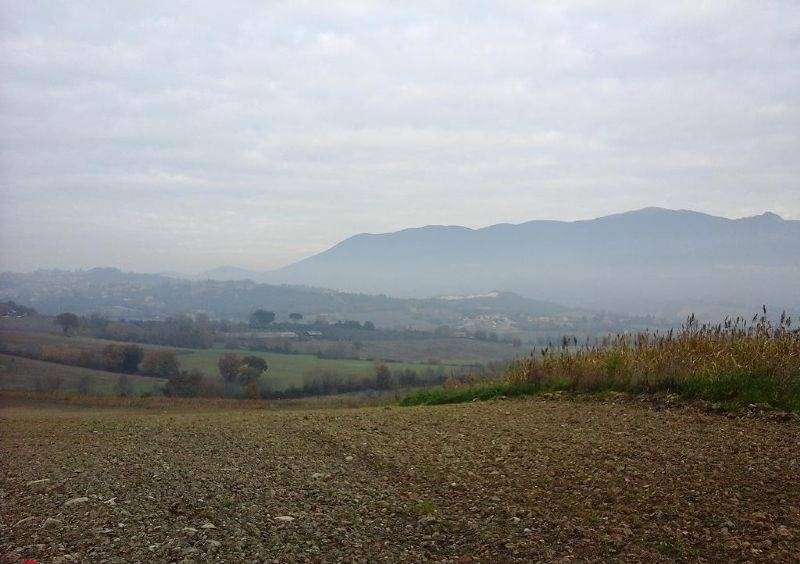 TERRENO EDIFICABILE VENDITA SAN GEMINI