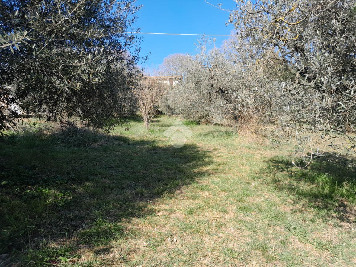 TERRENO EDIFICABILE VENDITA SAN GEMINI