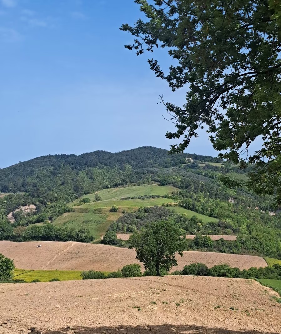 TERRENO AGRICOLO VENDITA GUALDO CATTANEO