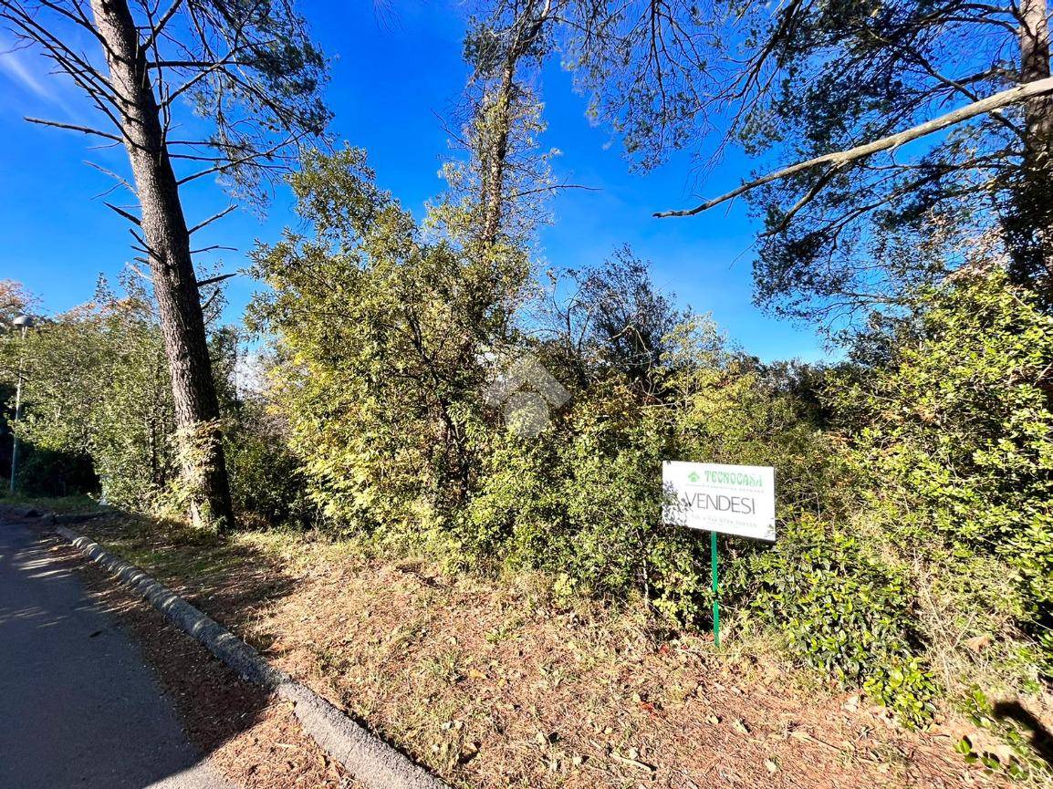 TERRENO EDIFICABILE VENDITA NARNI