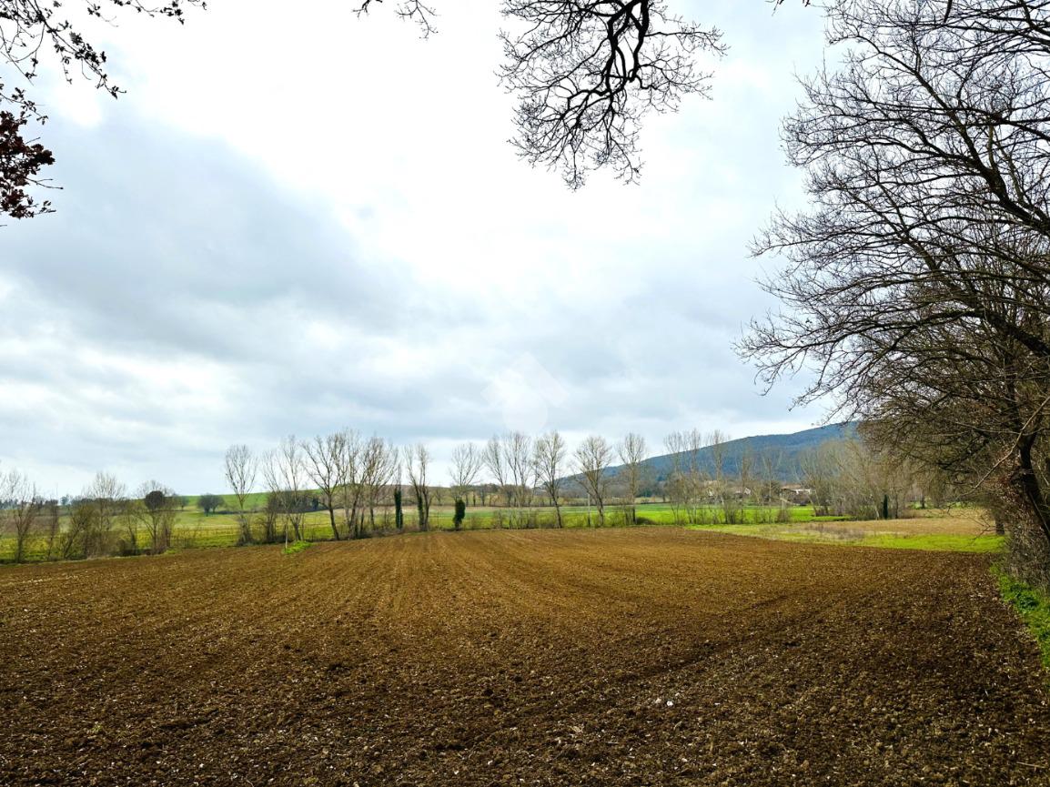 TERRENO AGRICOLO VENDITA MONTECASTRILLI CASTEL DELL'AQUILA