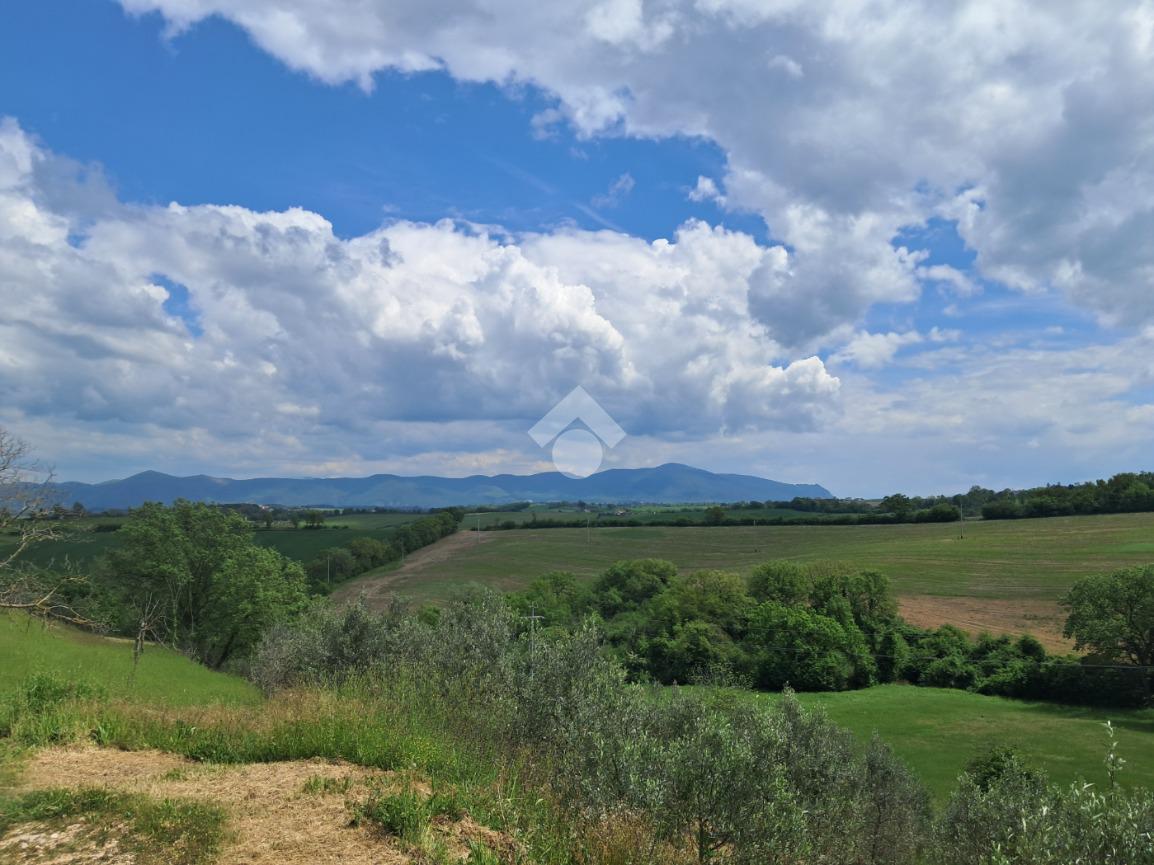 TERRENO AGRICOLO VENDITA AVIGLIANO UMBRO
