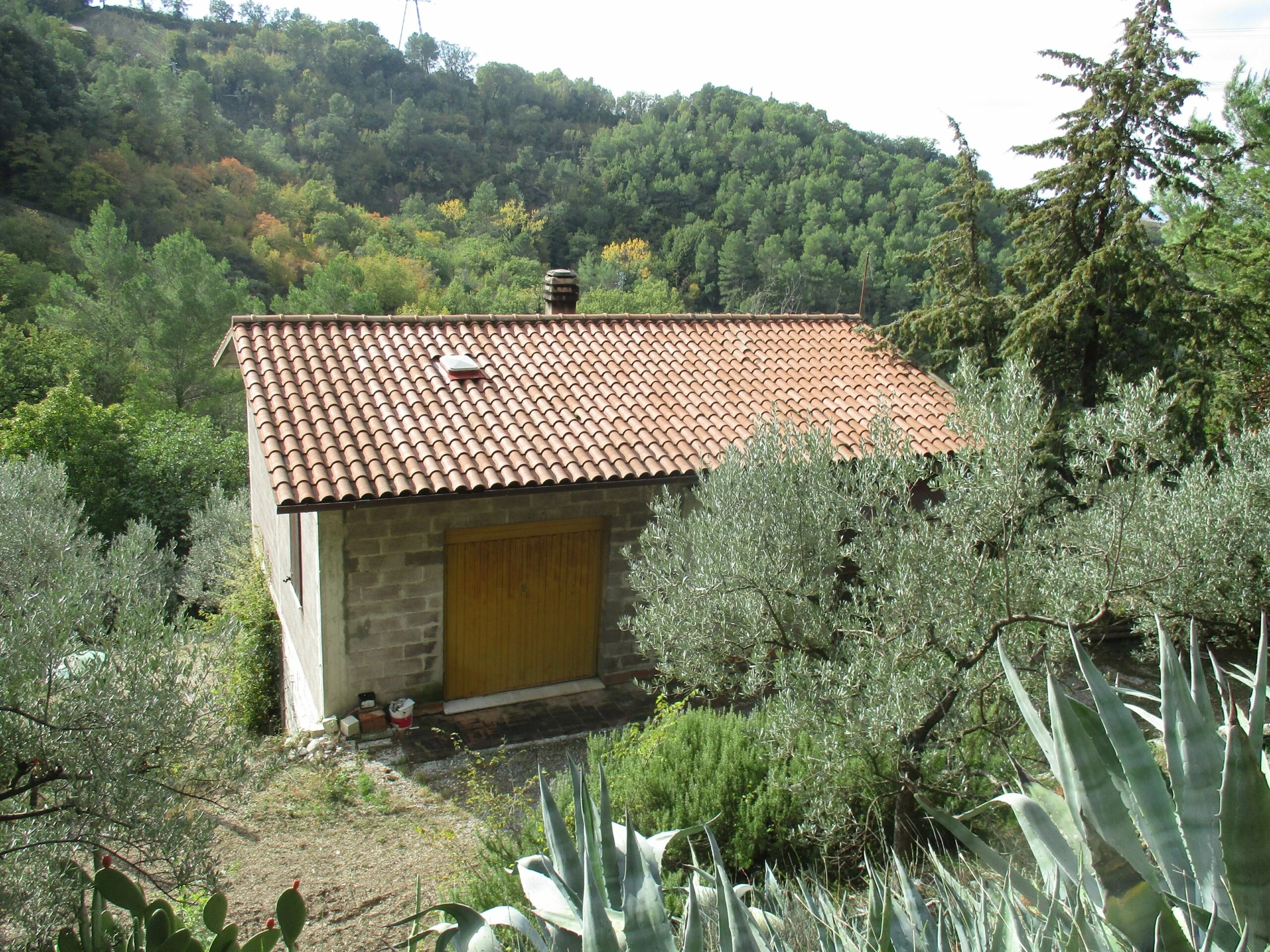 MAGAZZINO VENDITA TERNI COLLESTATTE