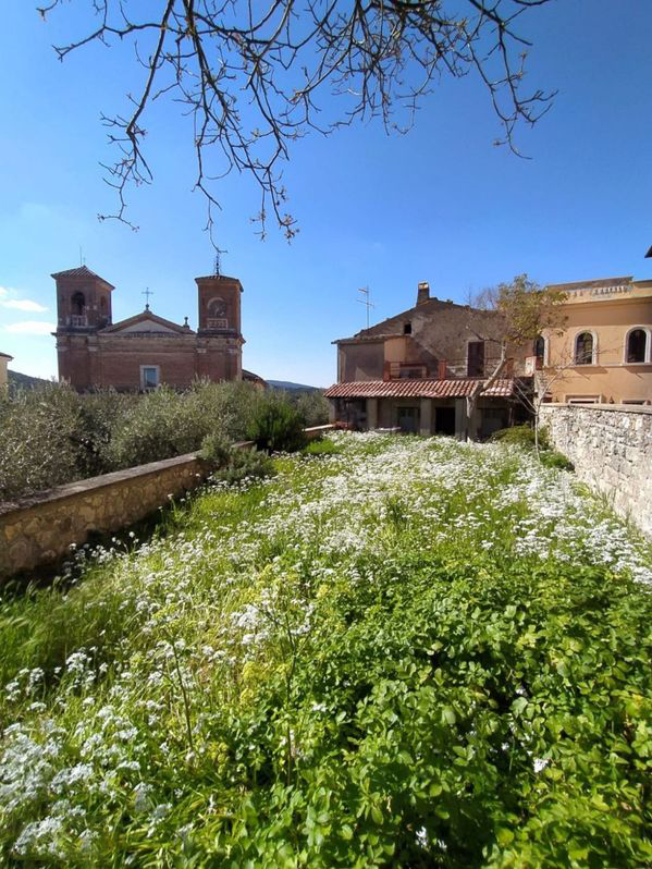 CASA INDIPENDENTE VENDITA AMELIA