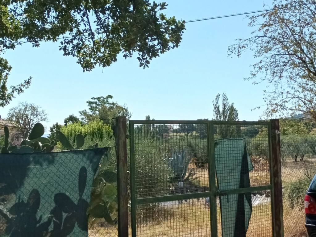 TERRENO EDIFICABILE VENDITA BETTONA