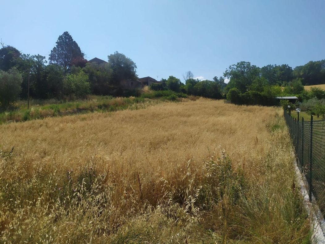 TERRENO AGRICOLO VENDITA STRONCONE