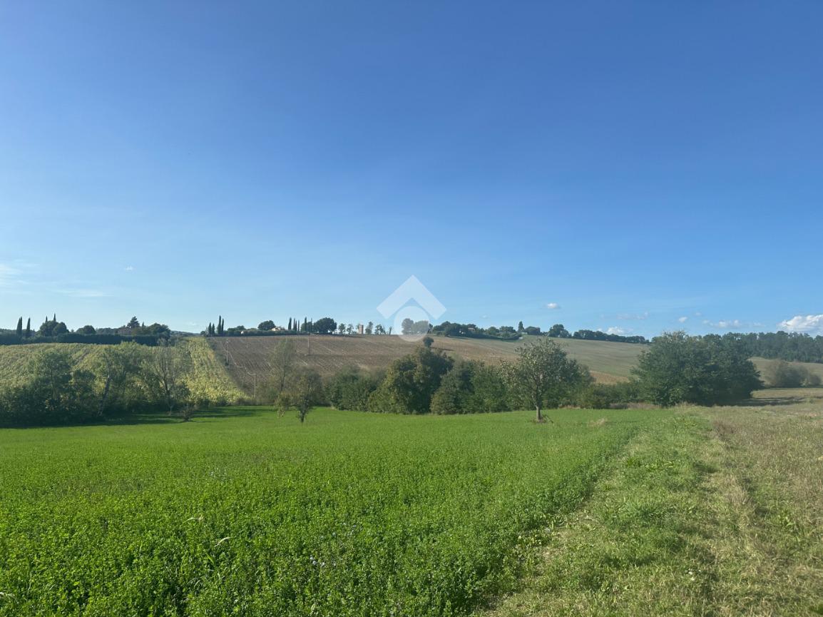 TERRENO AGRICOLO VENDITA MONTECASTRILLI