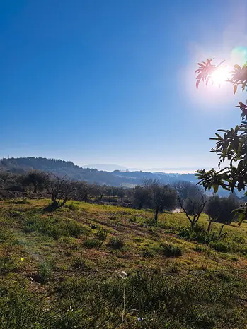 RUSTICO - CASALE VENDITA PERUGIA MONTELUCE
