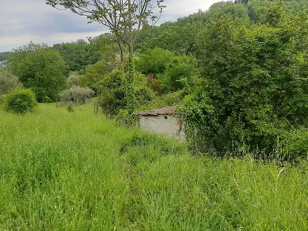 TERRENO AGRICOLO VENDITA PERUGIA