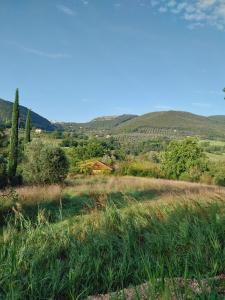 TERRENO AGRICOLO VENDITA NARNI