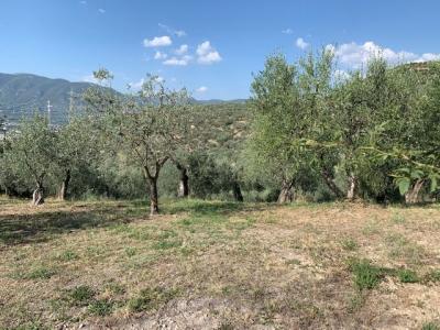 TERRENO EDIFICABILE VENDITA TERNI