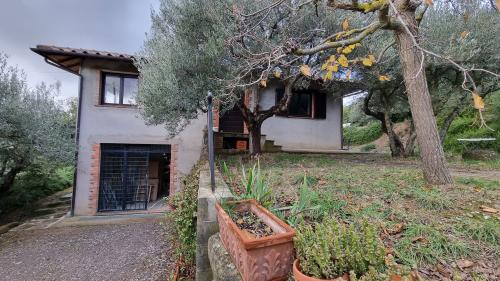 CASA INDIPENDENTE VENDITA PANICALE