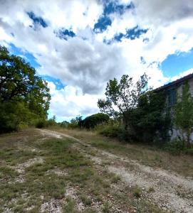 RUSTICO - CASALE VENDITA MONTEFRANCO