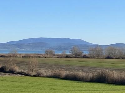 TERRENO AGRICOLO VENDITA CASTIGLIONE DEL LAGO