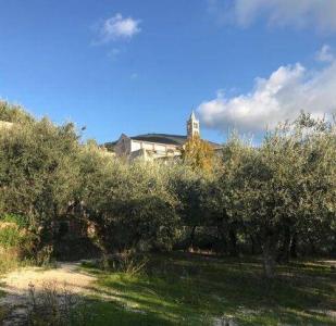 TERRENO AGRICOLO VENDITA ASSISI