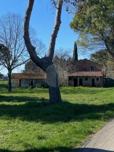 RUSTICO - CASALE VENDITA MARSCIANO BADIOLA