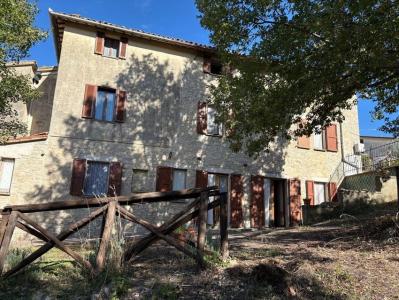 RUSTICO - CASALE VENDITA BASCHI