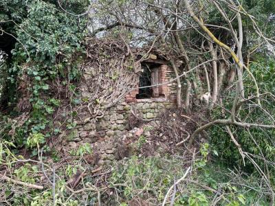 TERRENO EDIFICABILE VENDITA CORCIANO CAPOCAVALLO