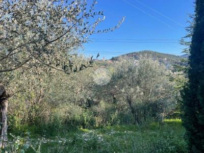 TERRENO VENDITA TERNI