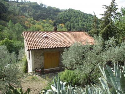 TERRENO AGRICOLO VENDITA TERNI