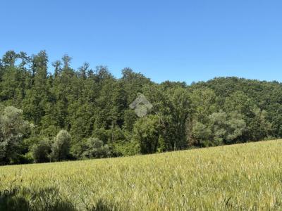 TERRENO AGRICOLO VENDITA MONTECASTRILLI