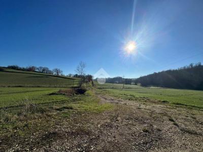 TERRENO AGRICOLO VENDITA MONTECASTRILLI