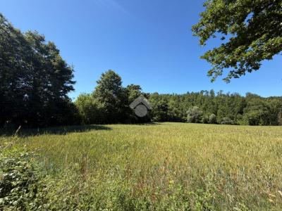 TERRENO AGRICOLO VENDITA MONTECASTRILLI
