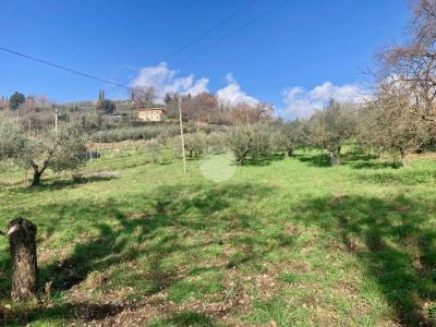 TERRENO EDIFICABILE VENDITA TERNI COLLESTATTE