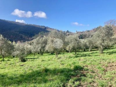 CIELO - TERRA VENDITA TERNI VALSERRA
