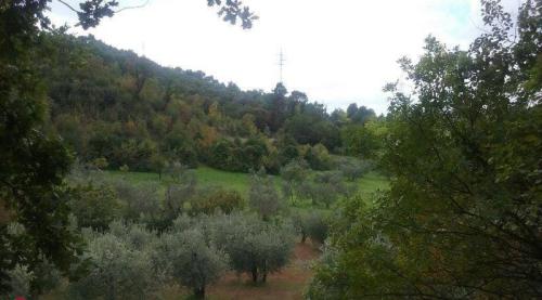 RUSTICO - CASALE VENDITA TERNI COLLESTATTE