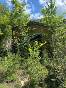 TERRENO AGRICOLO VENDITA STRONCONE